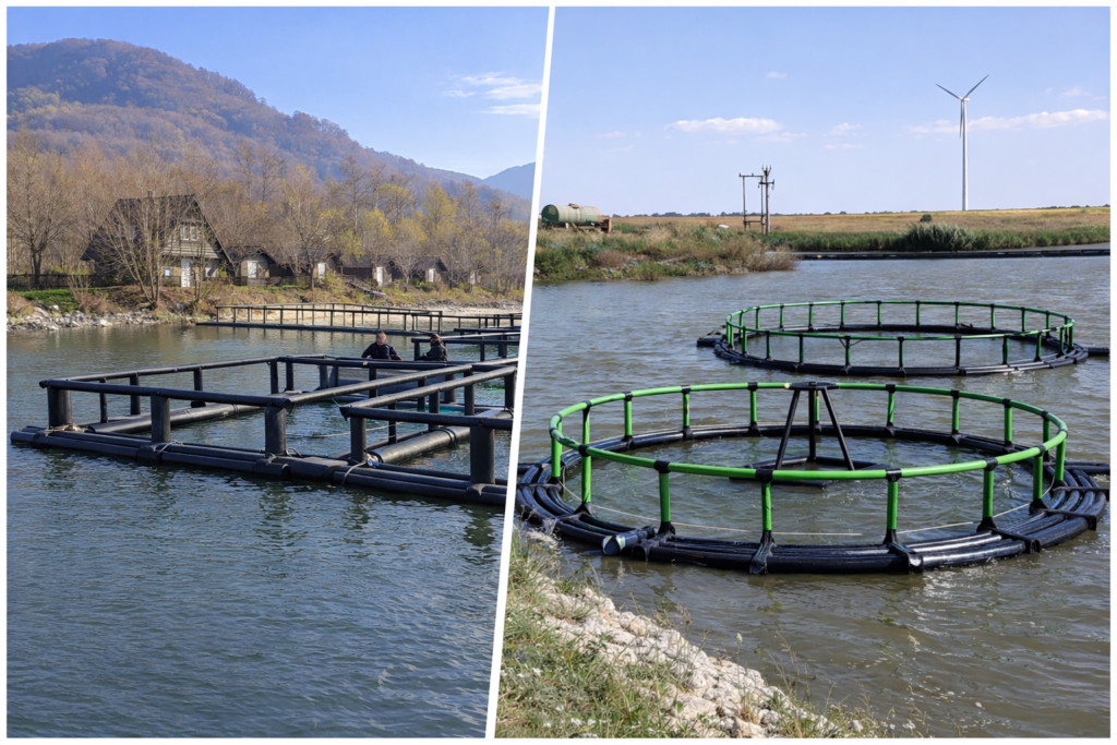 Colaj viviere flotabile HDPE produse în România, configurații rectangulare și circulare pentru ferme piscicole și acvacultură